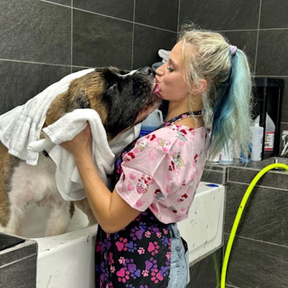 Meet your Posher, Hannah - Picture 1 of 1